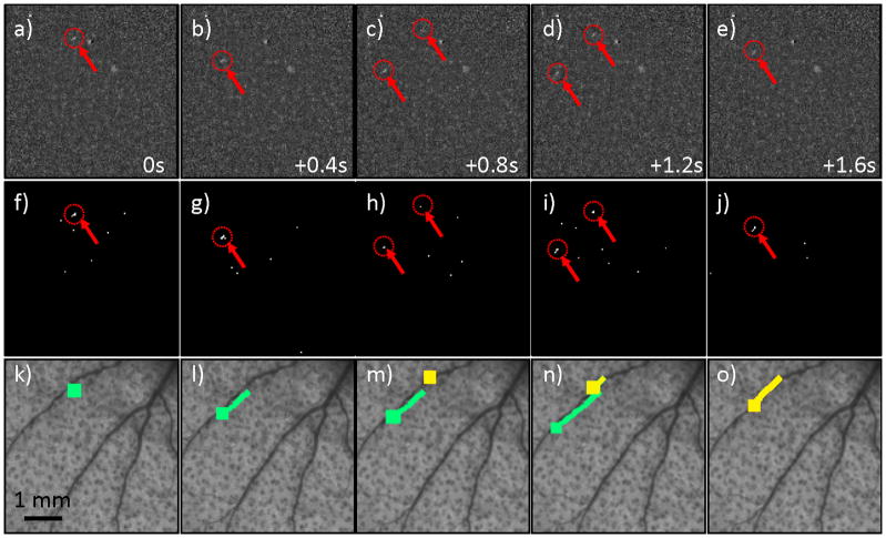 Figure 4