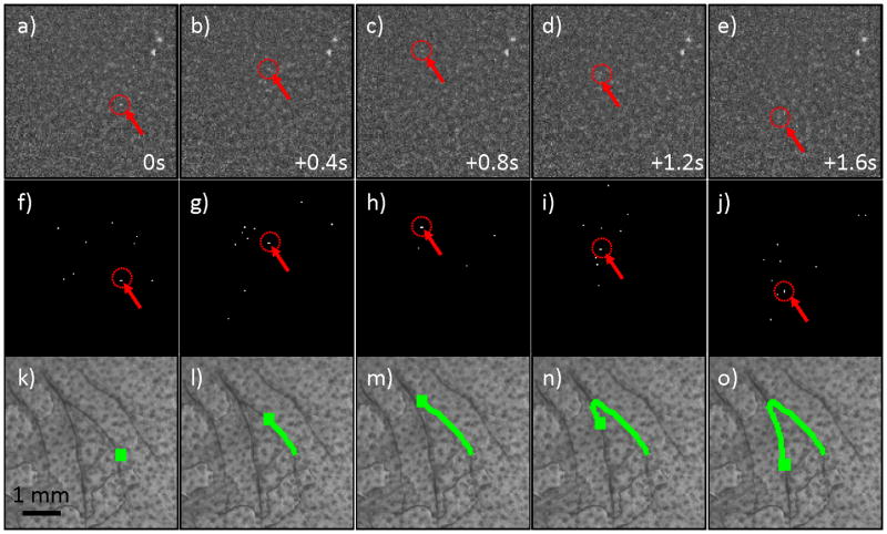 Figure 5