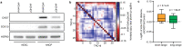 Extended Data Fig. 6.