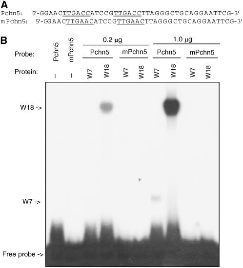 Figure 2.