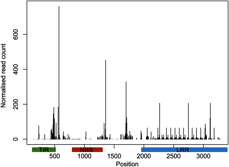 Figure 5.