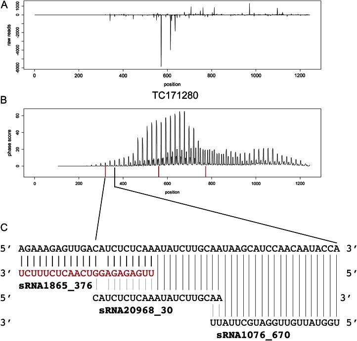 Figure 6.