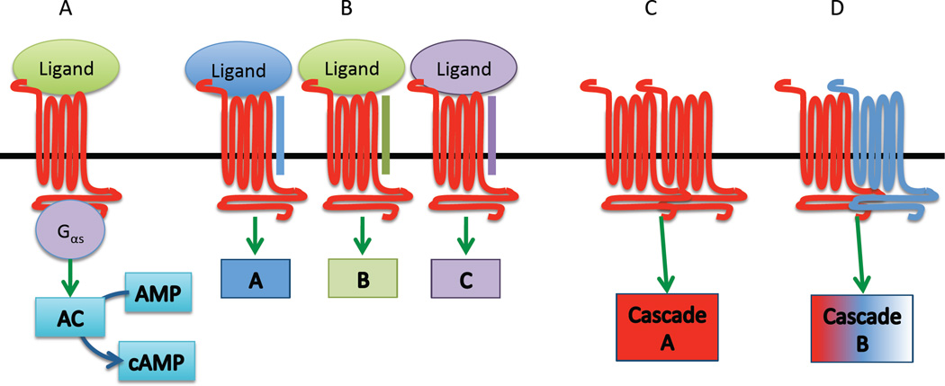 Fig. 1