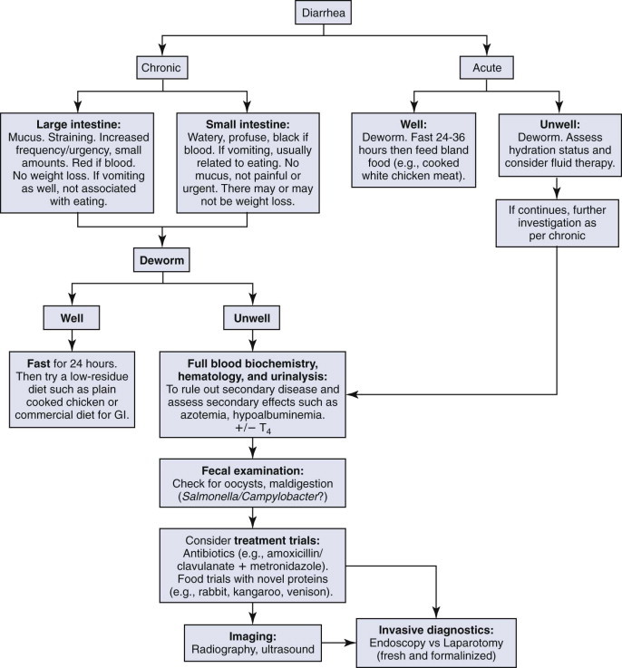 FIGURE 23-17