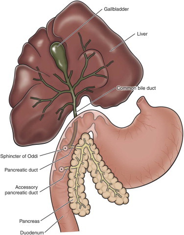 FIGURE 23-55