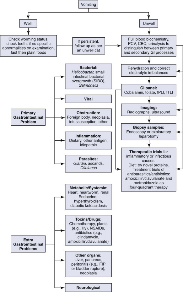 FIGURE 23-2