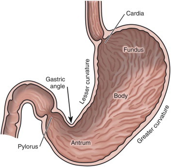 FIGURE 23-8