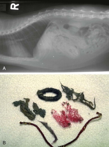 FIGURE 23-12