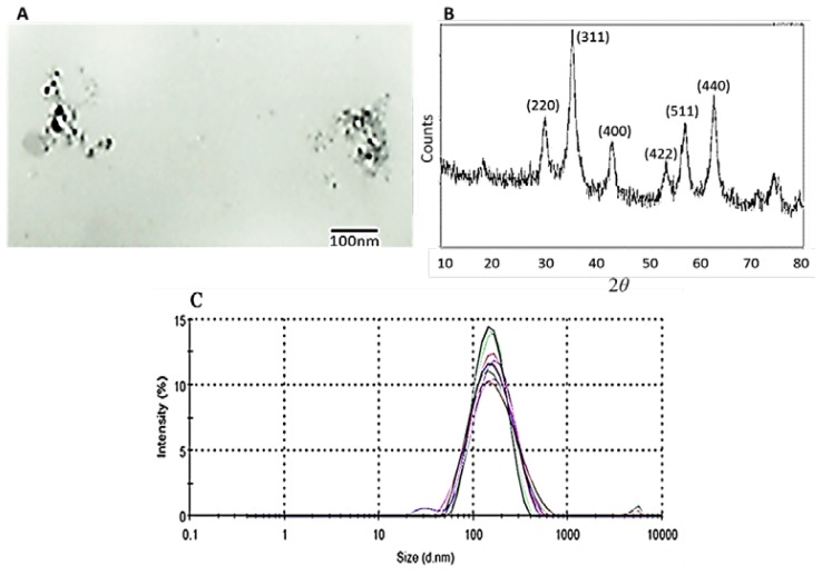 Figure 1.