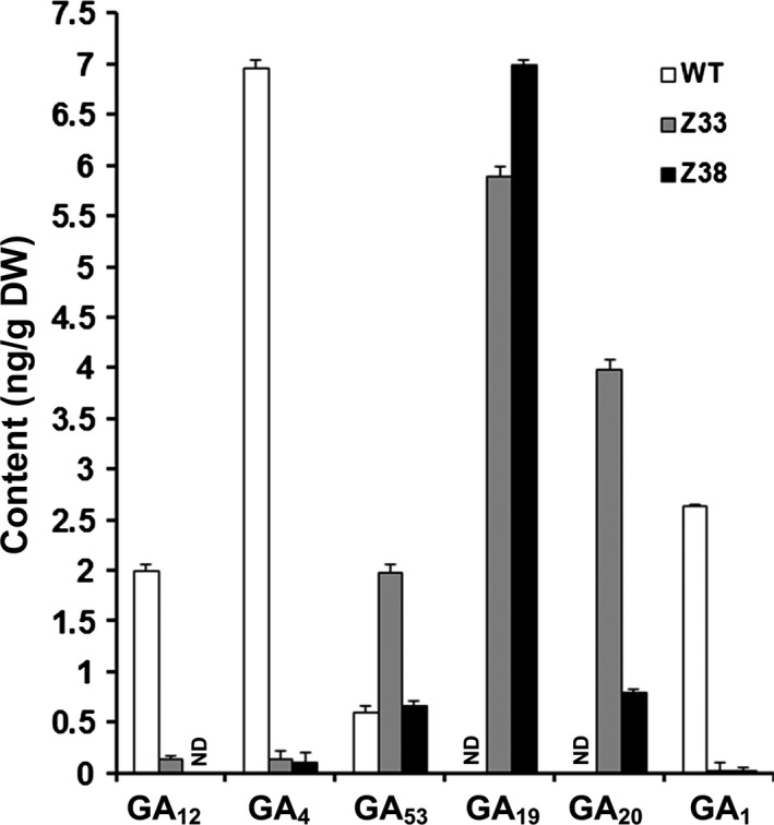 Figure 5