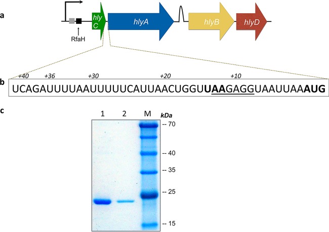 FIG 1