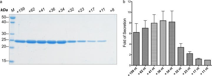 FIG 2