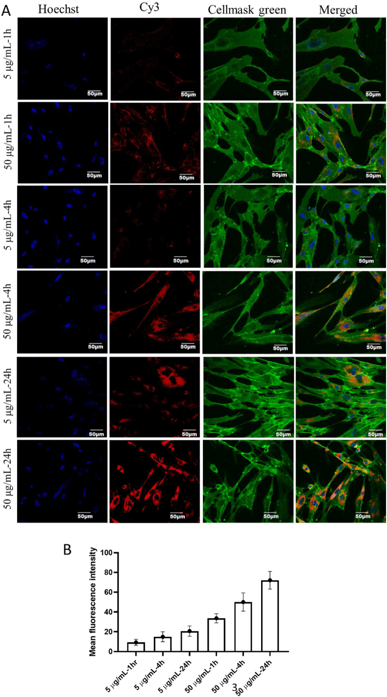 Figure 3