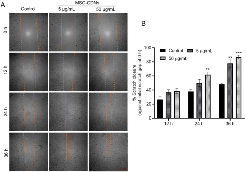 Figure 6