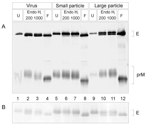 FIG. 8.