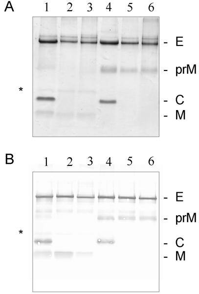 FIG. 5.