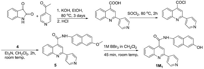 Scheme 2