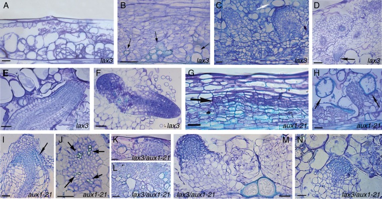 Fig. 9.