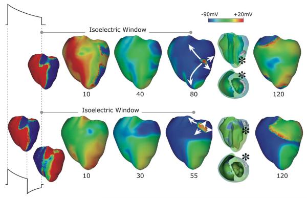 Fig. 7