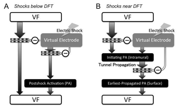 Fig. 9