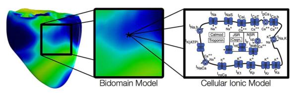 Fig. 4