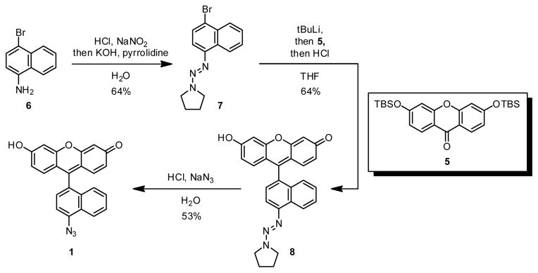 Scheme 1