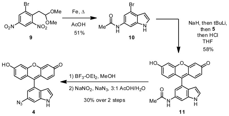 Scheme 2