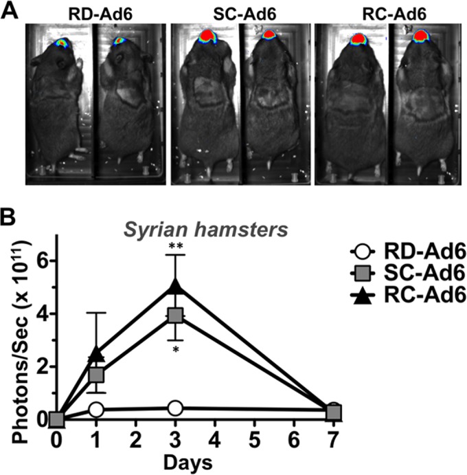 FIG 3