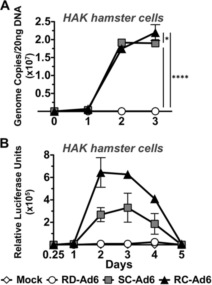 FIG 2