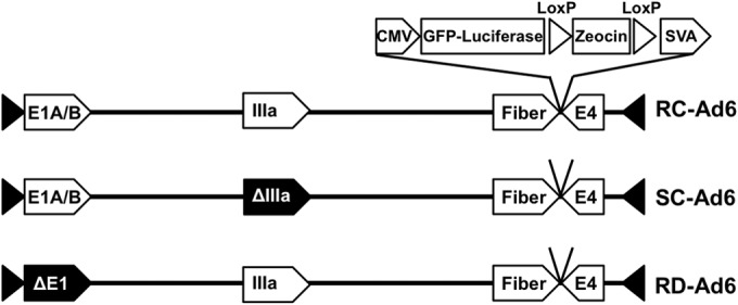 FIG 1