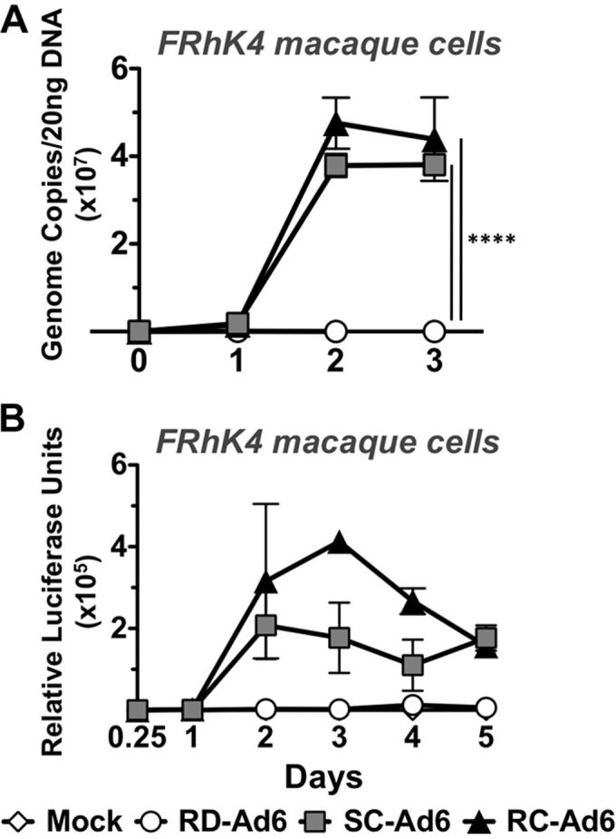 FIG 5