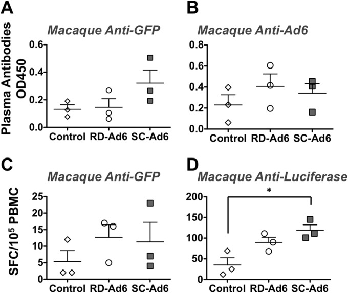 FIG 6