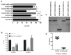 Figure 1—figure supplement 2.