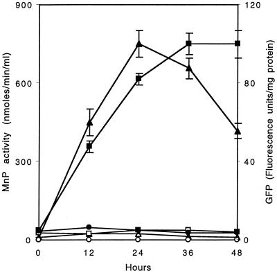 FIG. 6