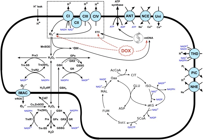 Fig 7