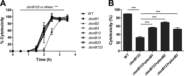 FIG 2