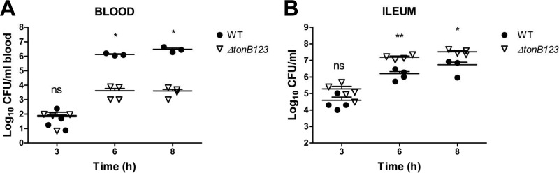 FIG 3