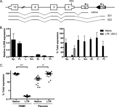 FIGURE 1.