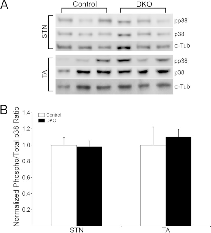 FIG 10