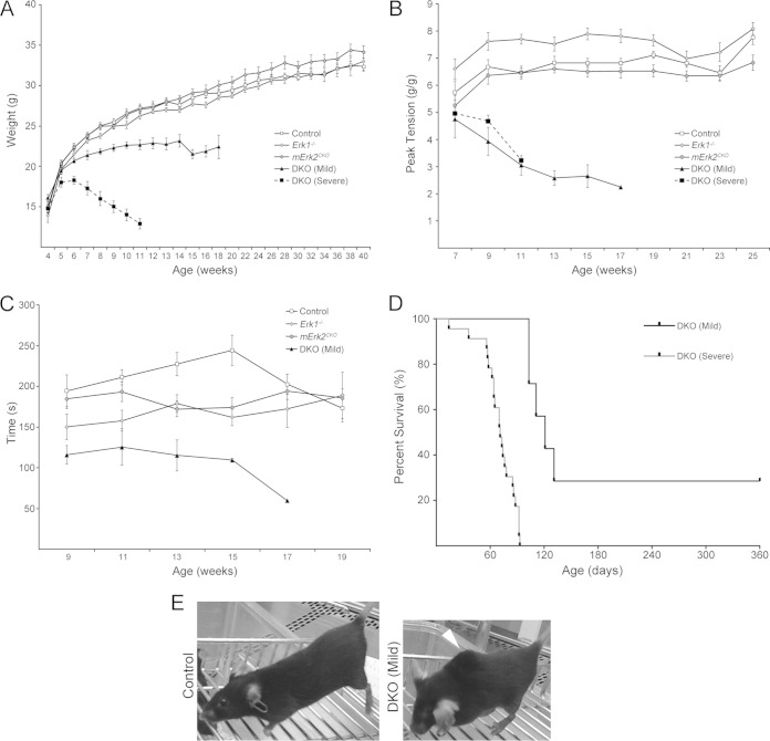 FIG 2