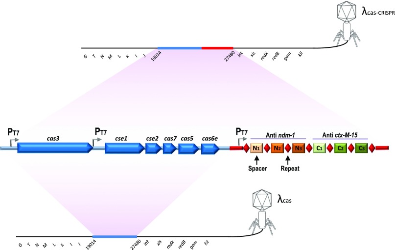 Fig. 1.