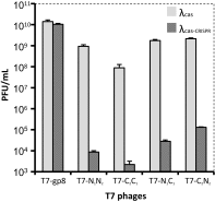 Fig. 3.