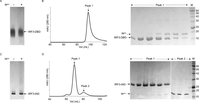 FIG 2