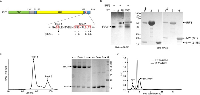 FIG 1