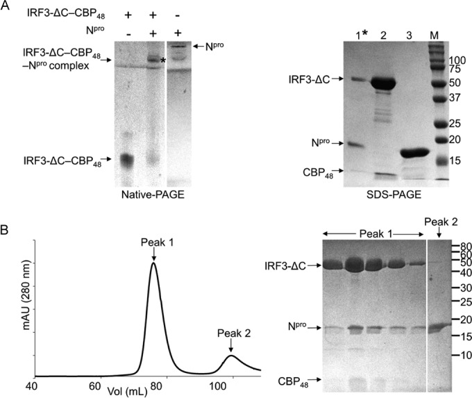 FIG 4