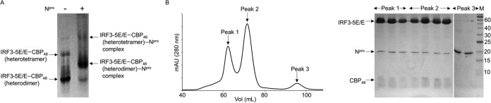 FIG 3