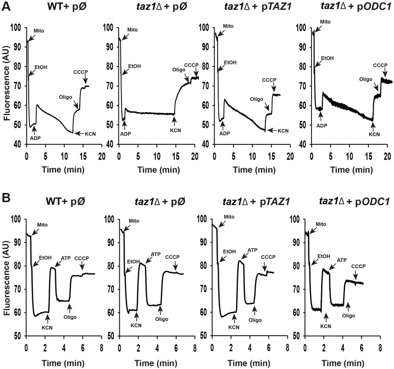 Fig. 4.