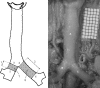 Fig. 1