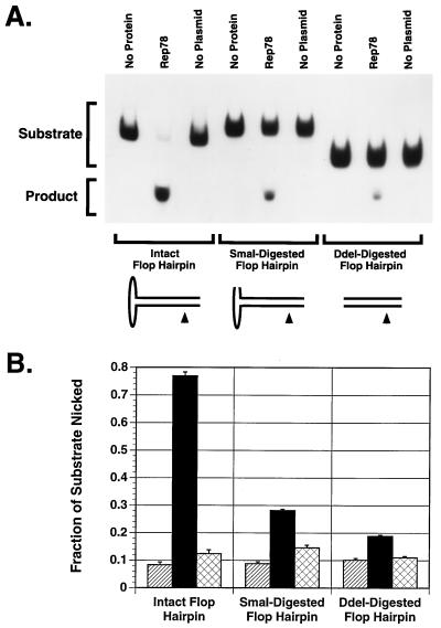 FIG. 9