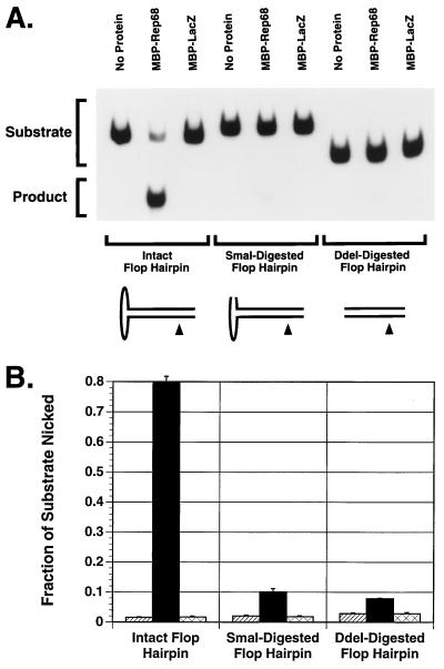 FIG. 8